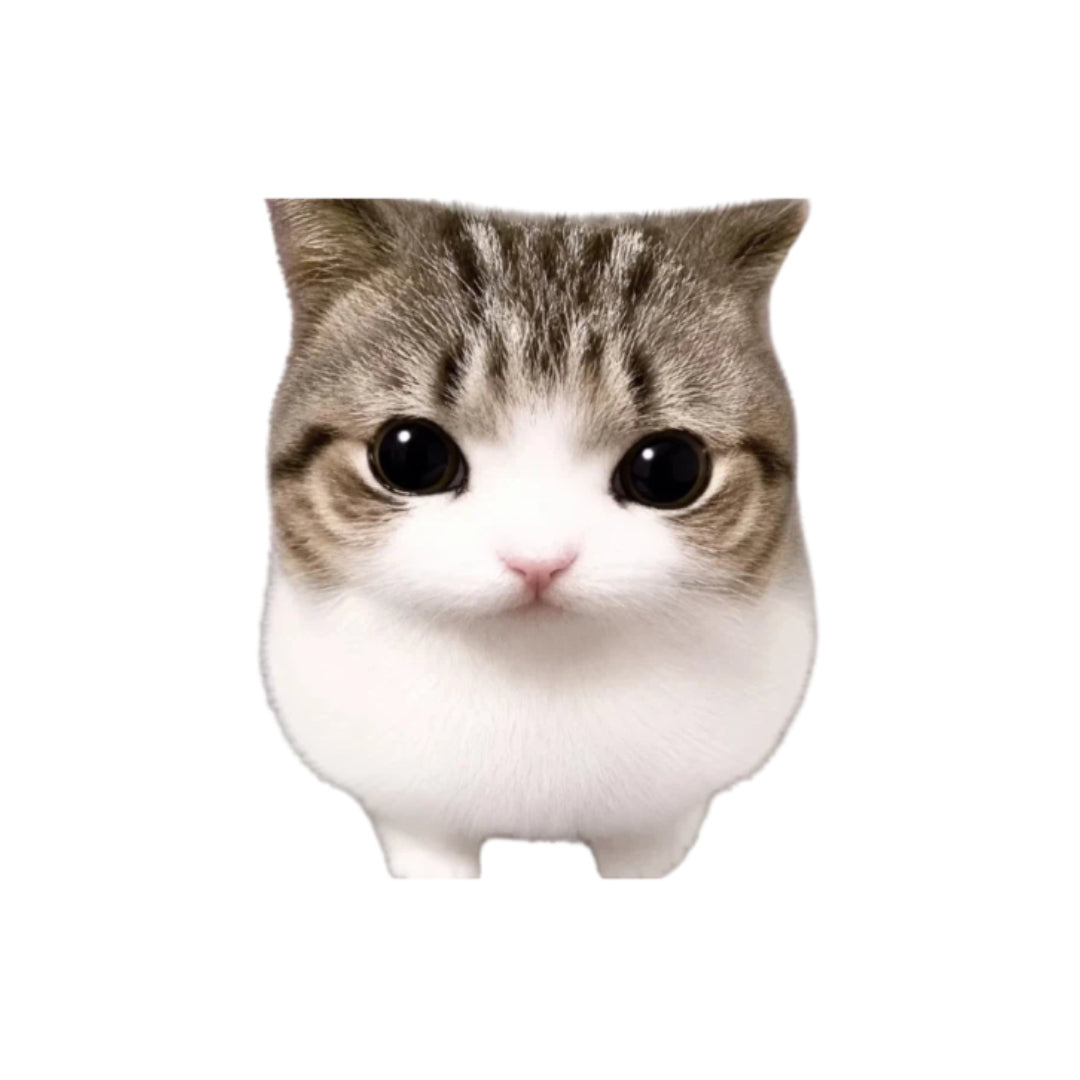 Crispy Triangle Cat