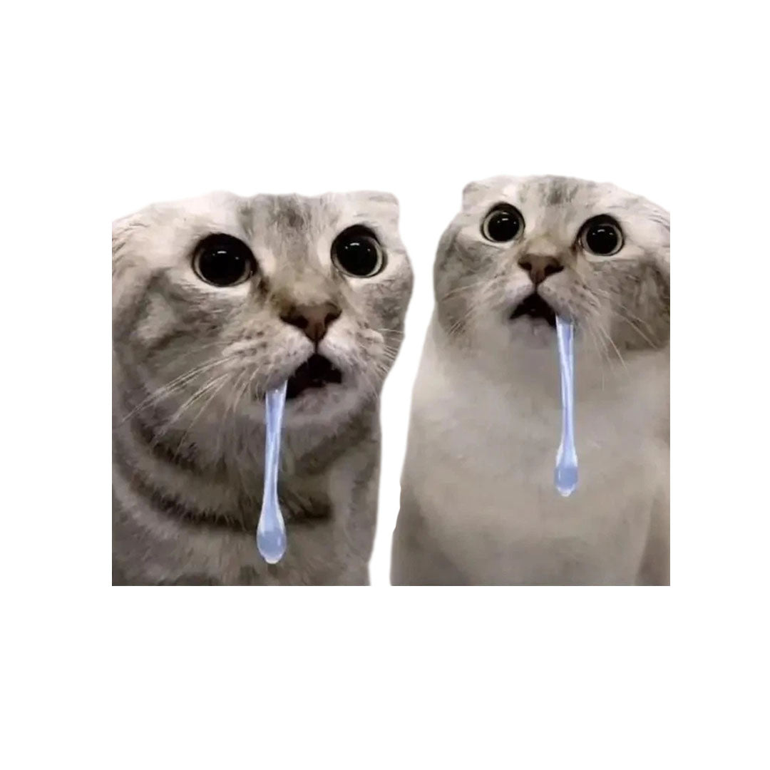Drooling Cat
