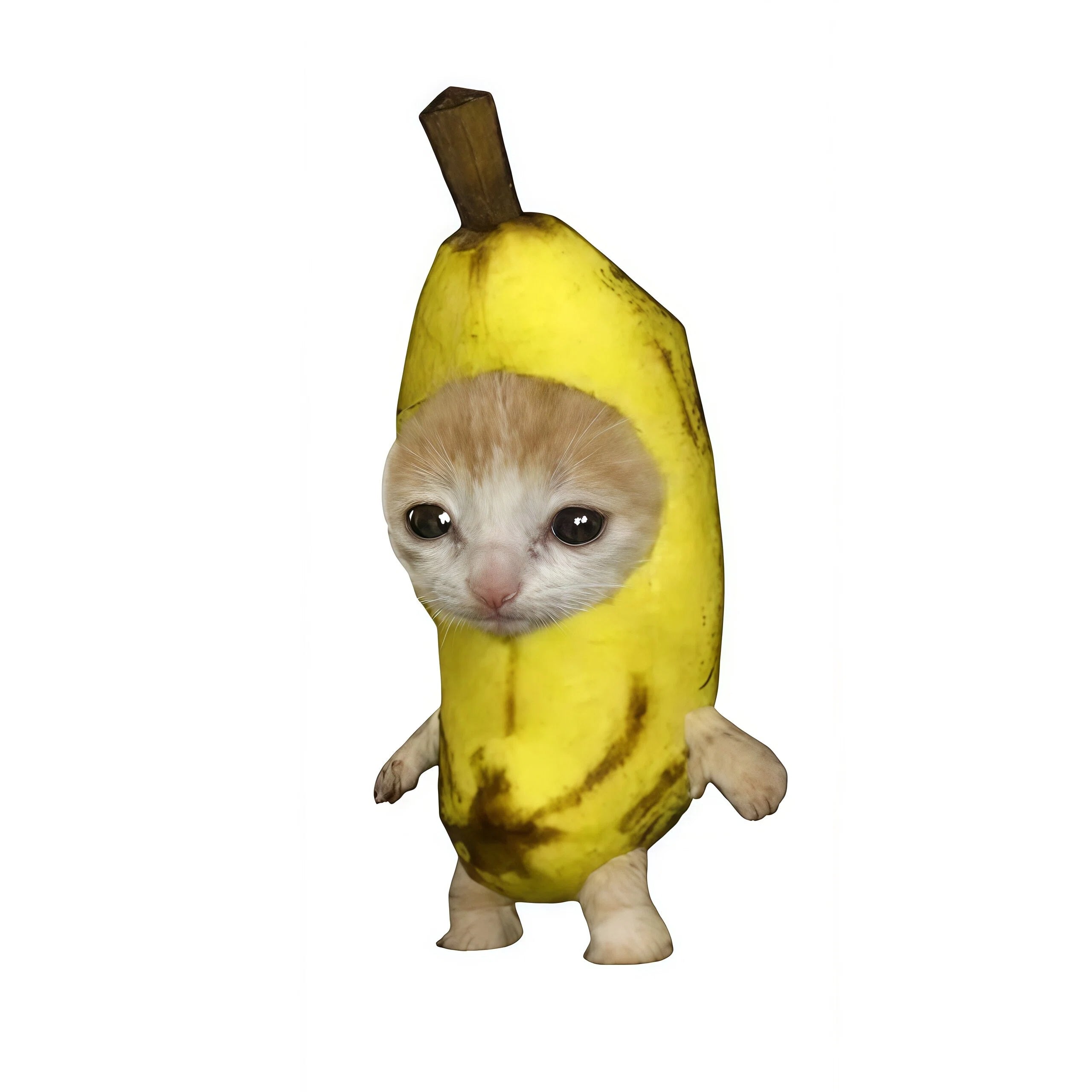 Banana Cat