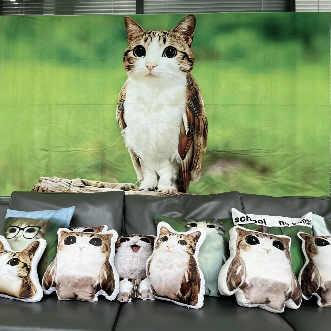 Meowl backdrop, decorative canva