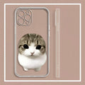 Crispy Angle Cat Phone Case