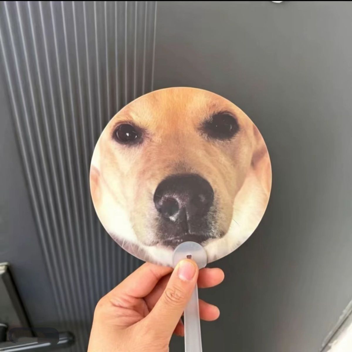 Viral Meme Lenticular Hand Fan | 3D Flip Changing Image Cartoon Meme Fan