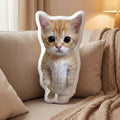Cat Meme Series Special-Shaped Pillows
