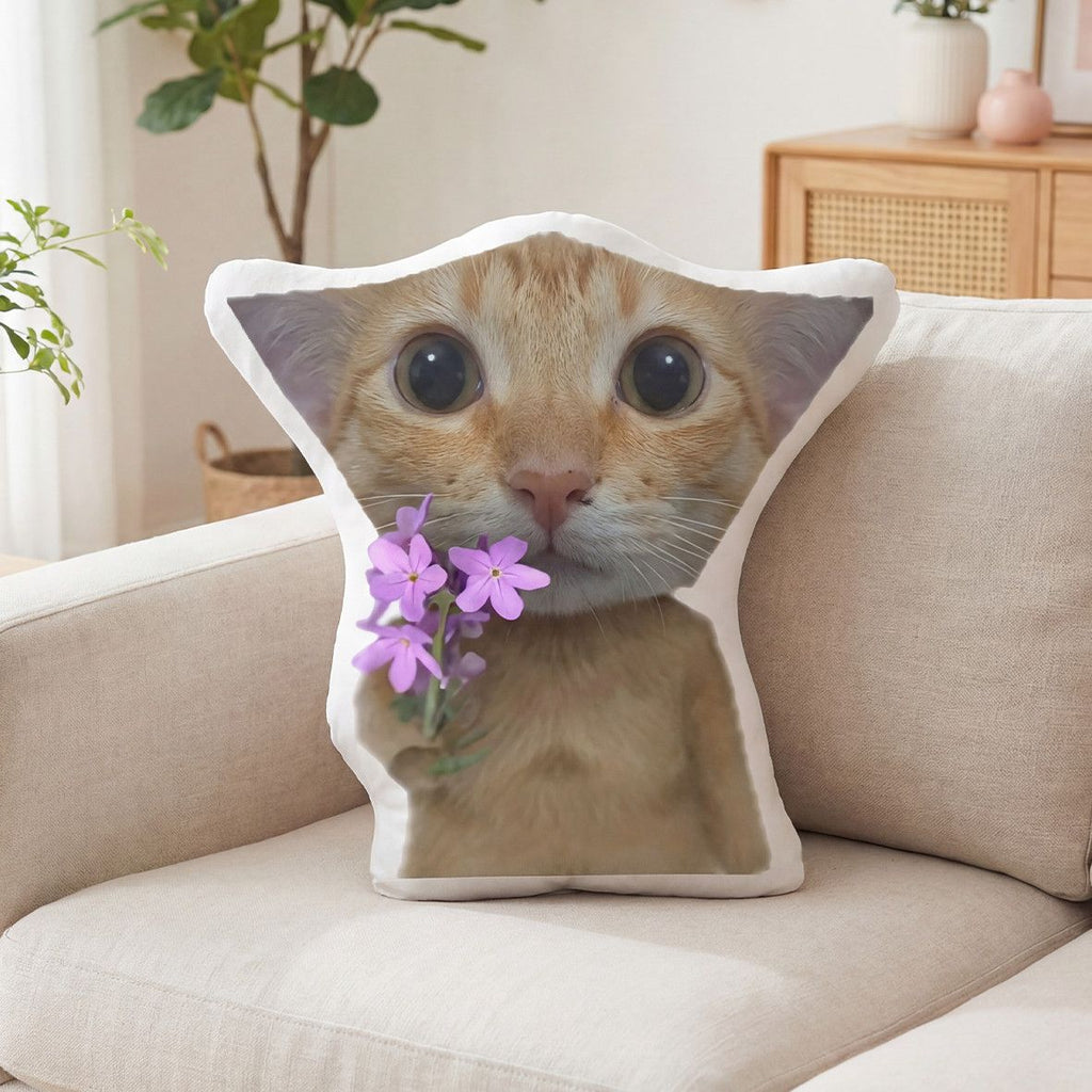 Amigatido Special-shaped Pillow