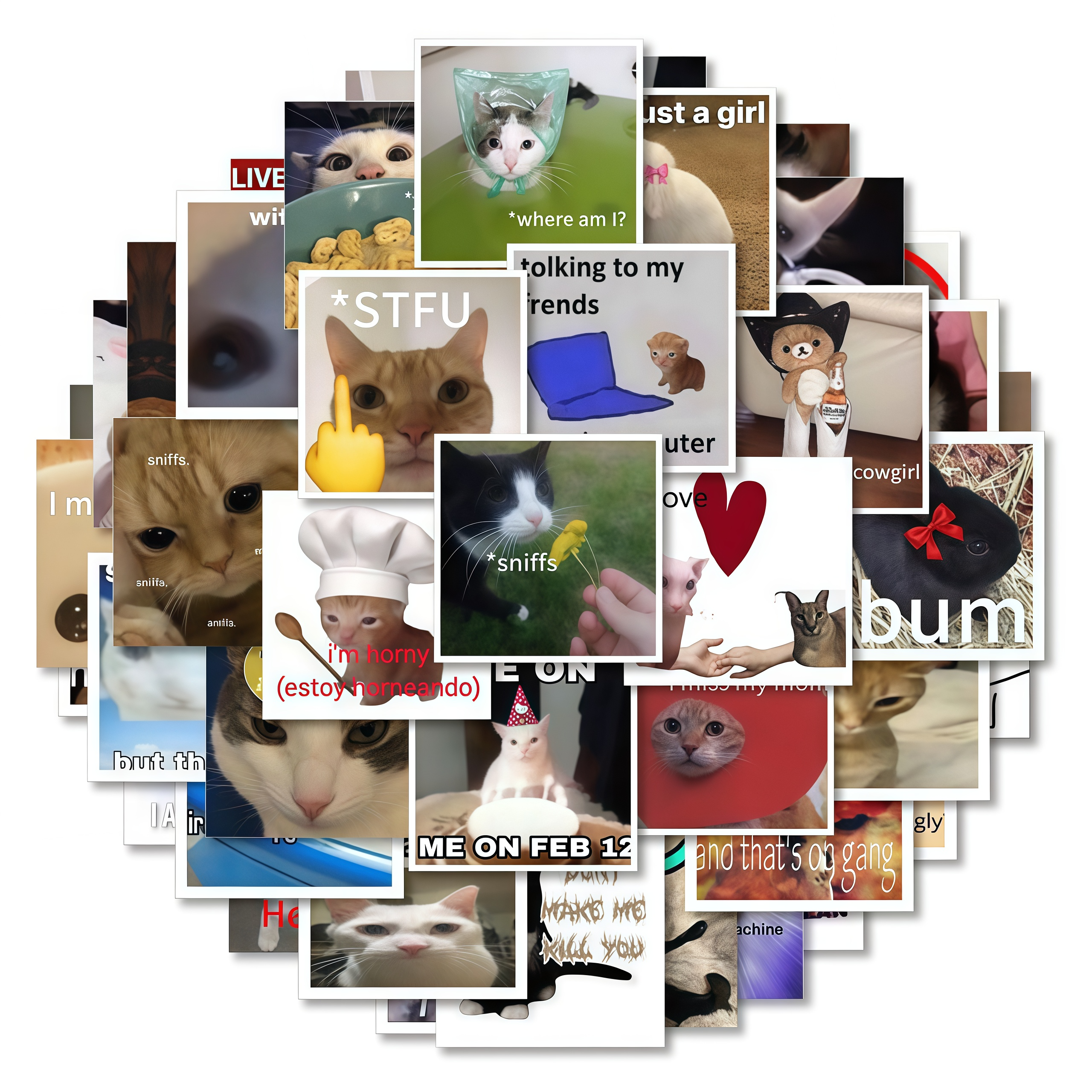 62 funny cat stickers