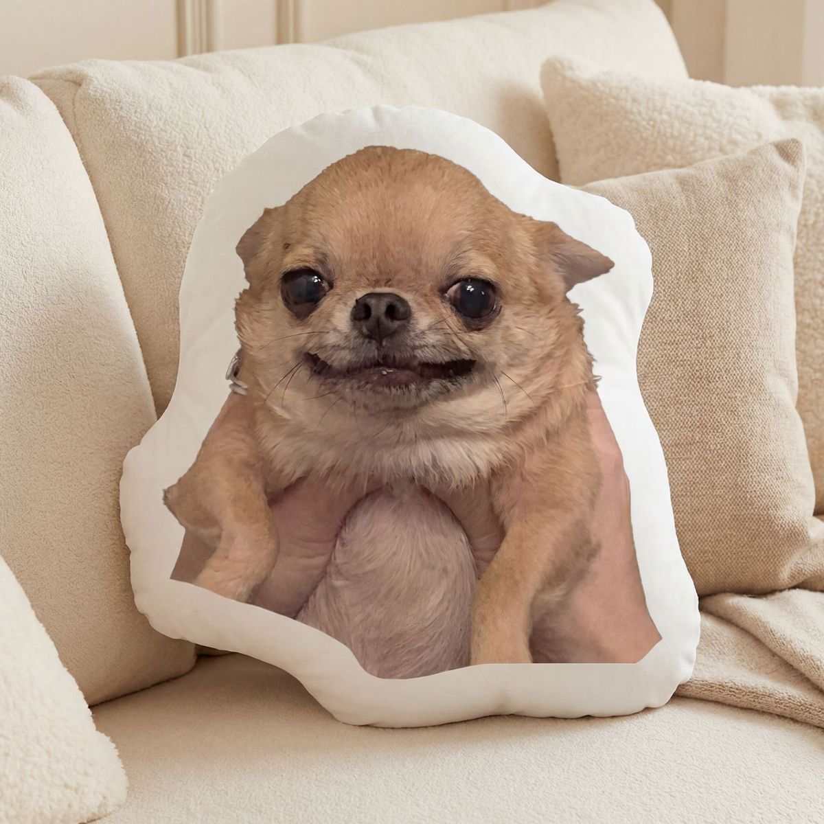 Chihuahua Special-shaped Pillow