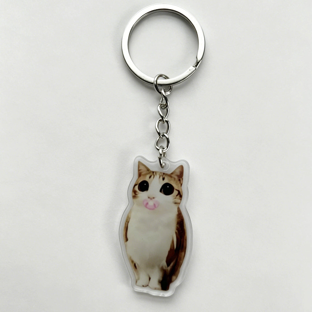 Meowl Series 1 Keychains