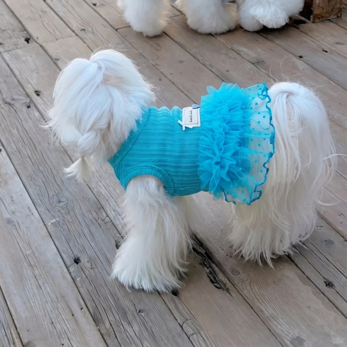 Sweet Blue Mesh Tutu Pet Dress, Soft Knit Princess Outfit for Small Puppies and Cats
