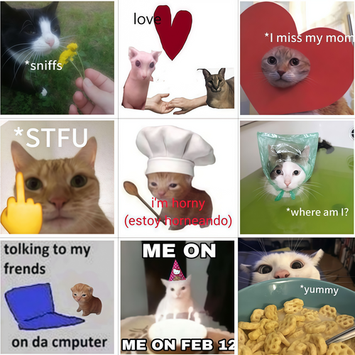 62 funny cat stickers