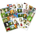 59  meowl  Stickers