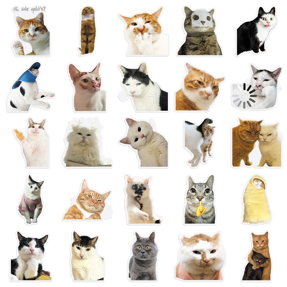 Cat PET stickers