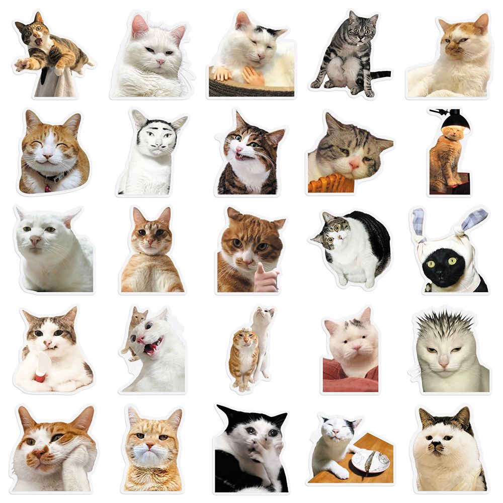 Cat PET stickers