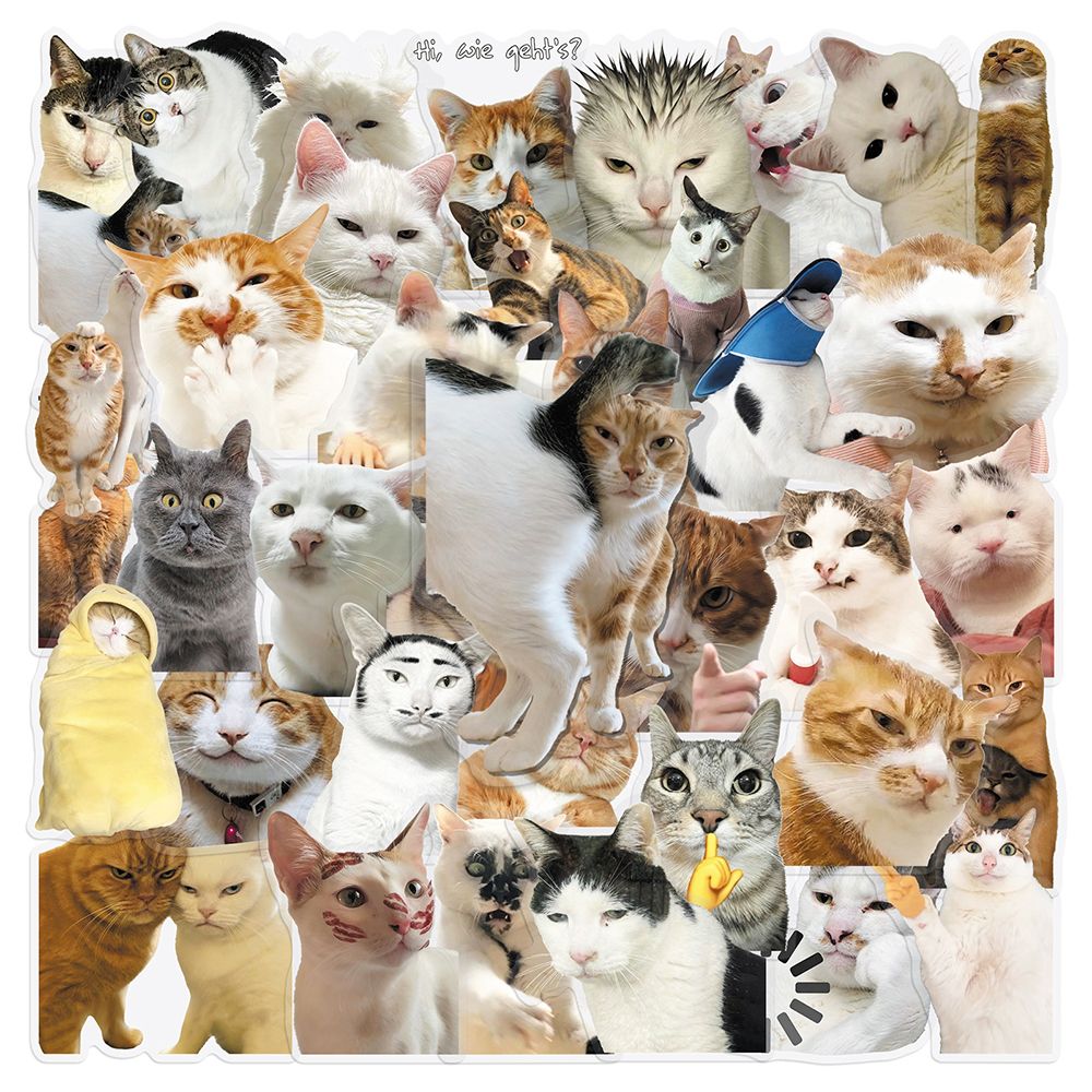 Cat PET stickers