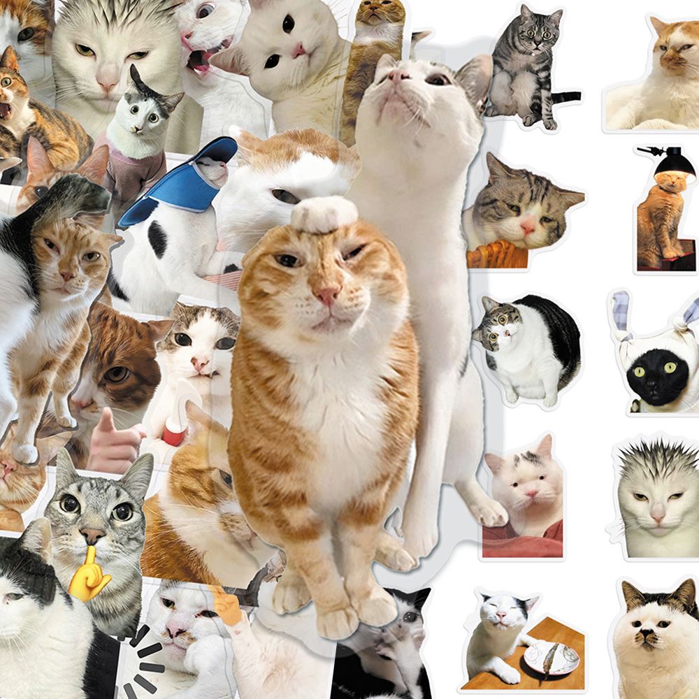 Cat PET stickers