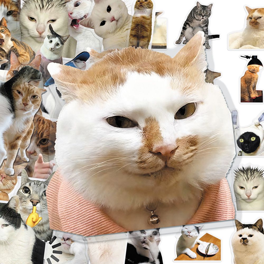 Cat PET stickers
