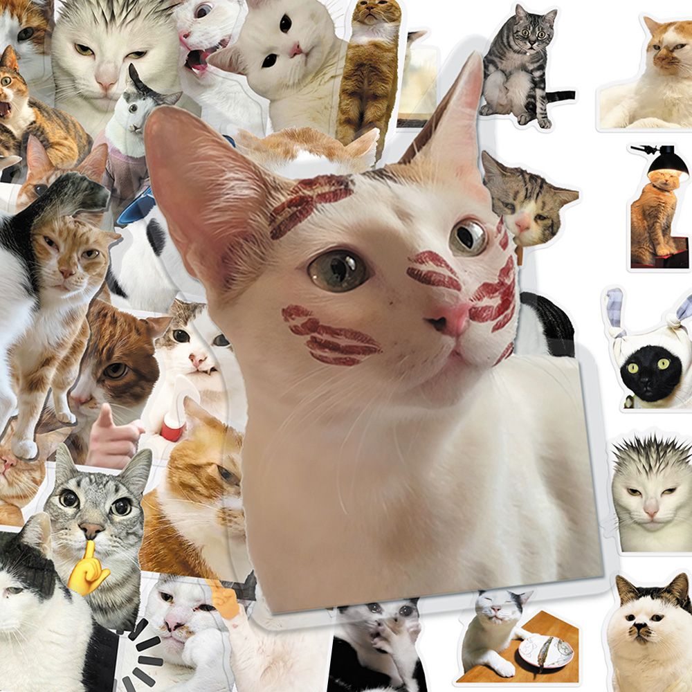 Cat PET stickers
