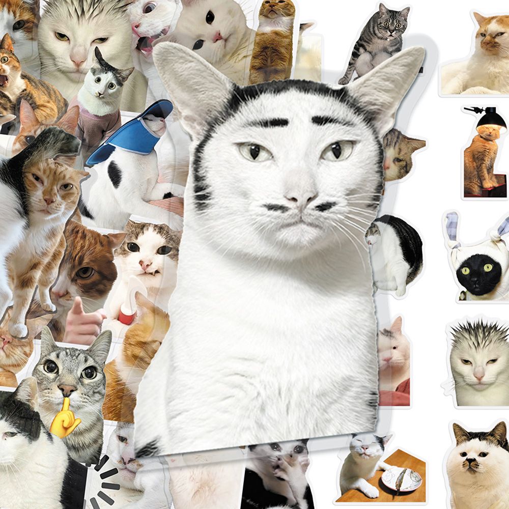 Cat PET stickers