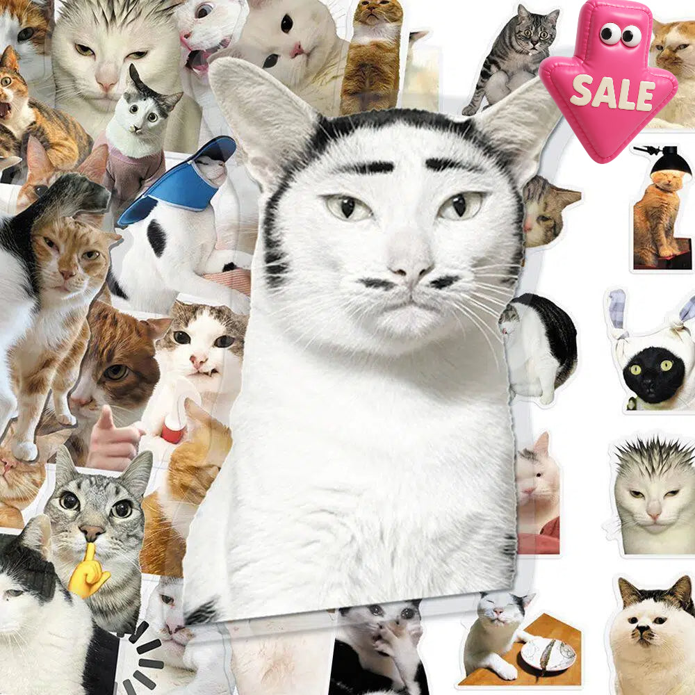 Cat PET stickers