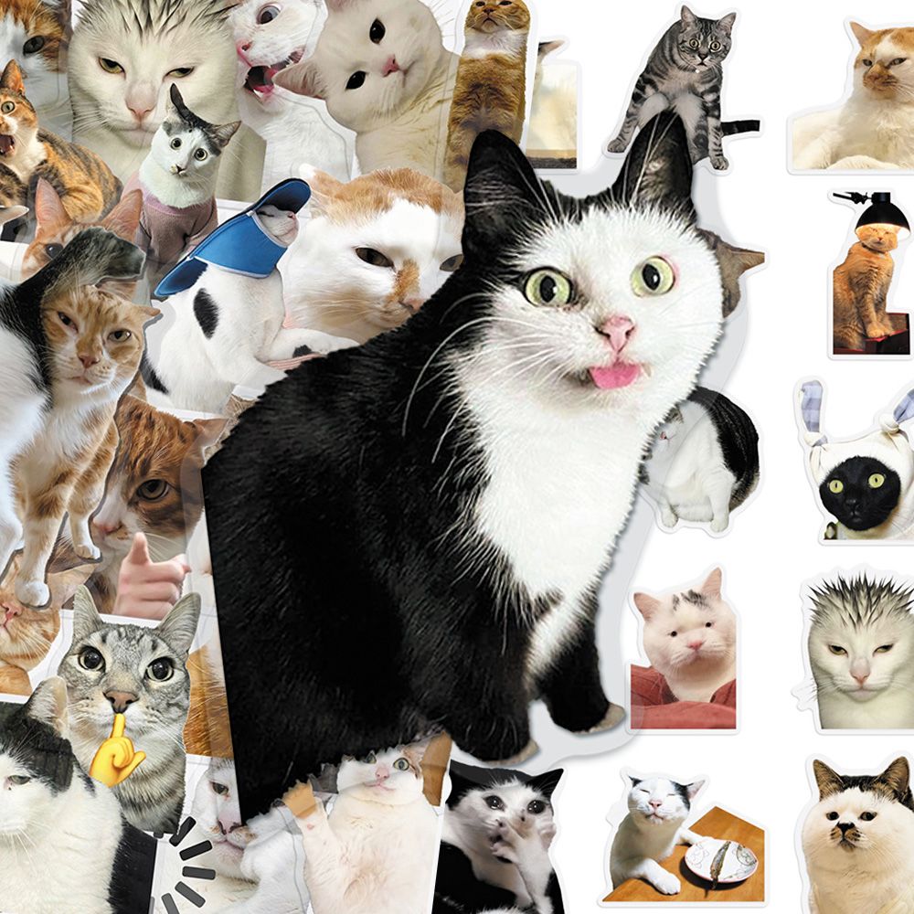 Cat PET stickers