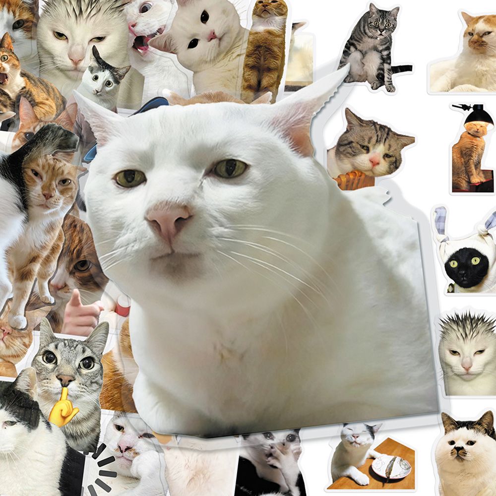 Cat PET stickers