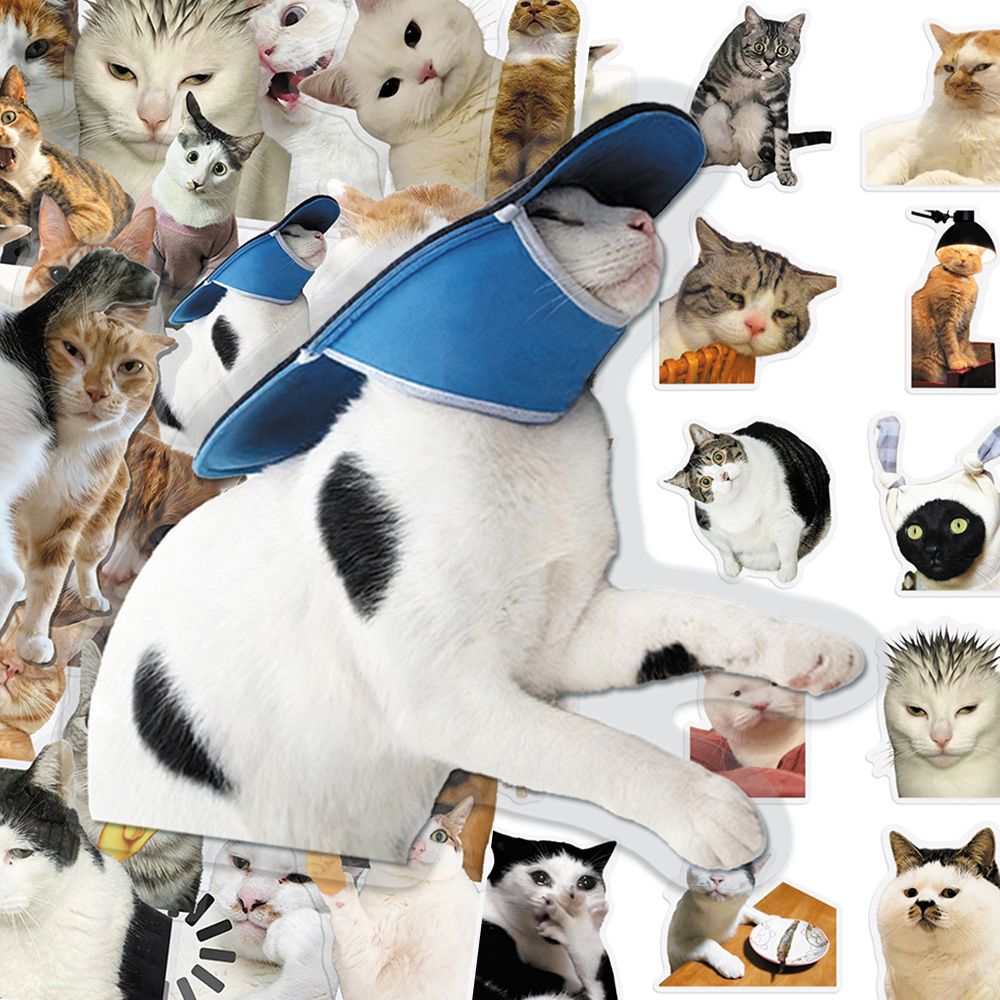 Cat PET stickers