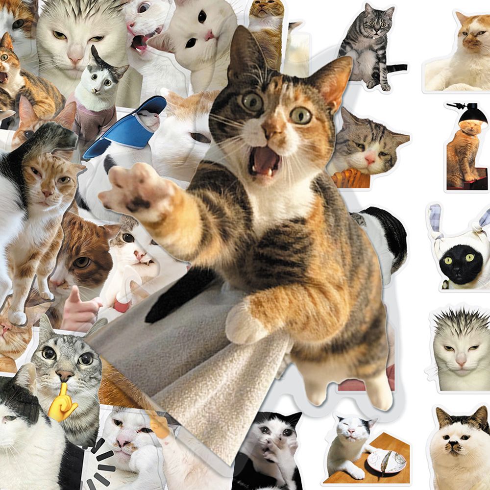 Cat PET stickers