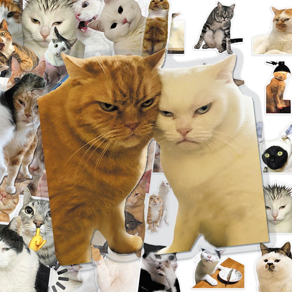 Cat PET stickers