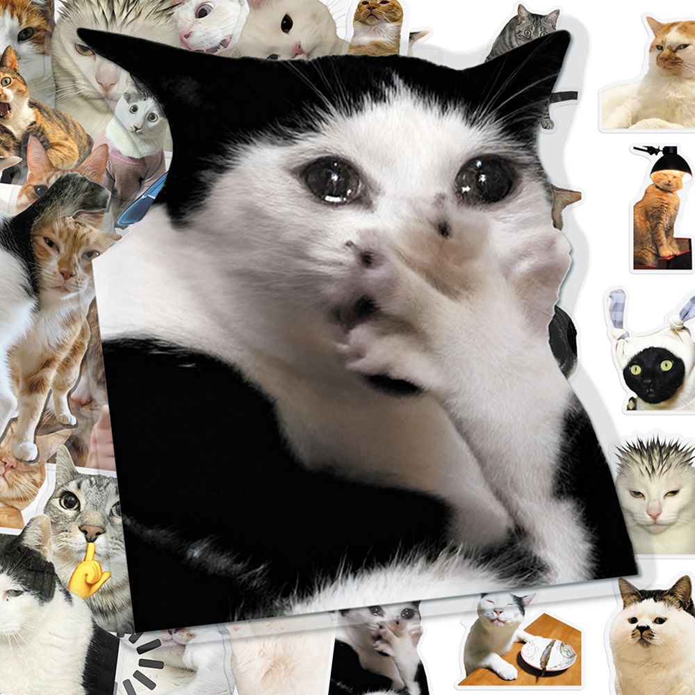 Cat PET stickers