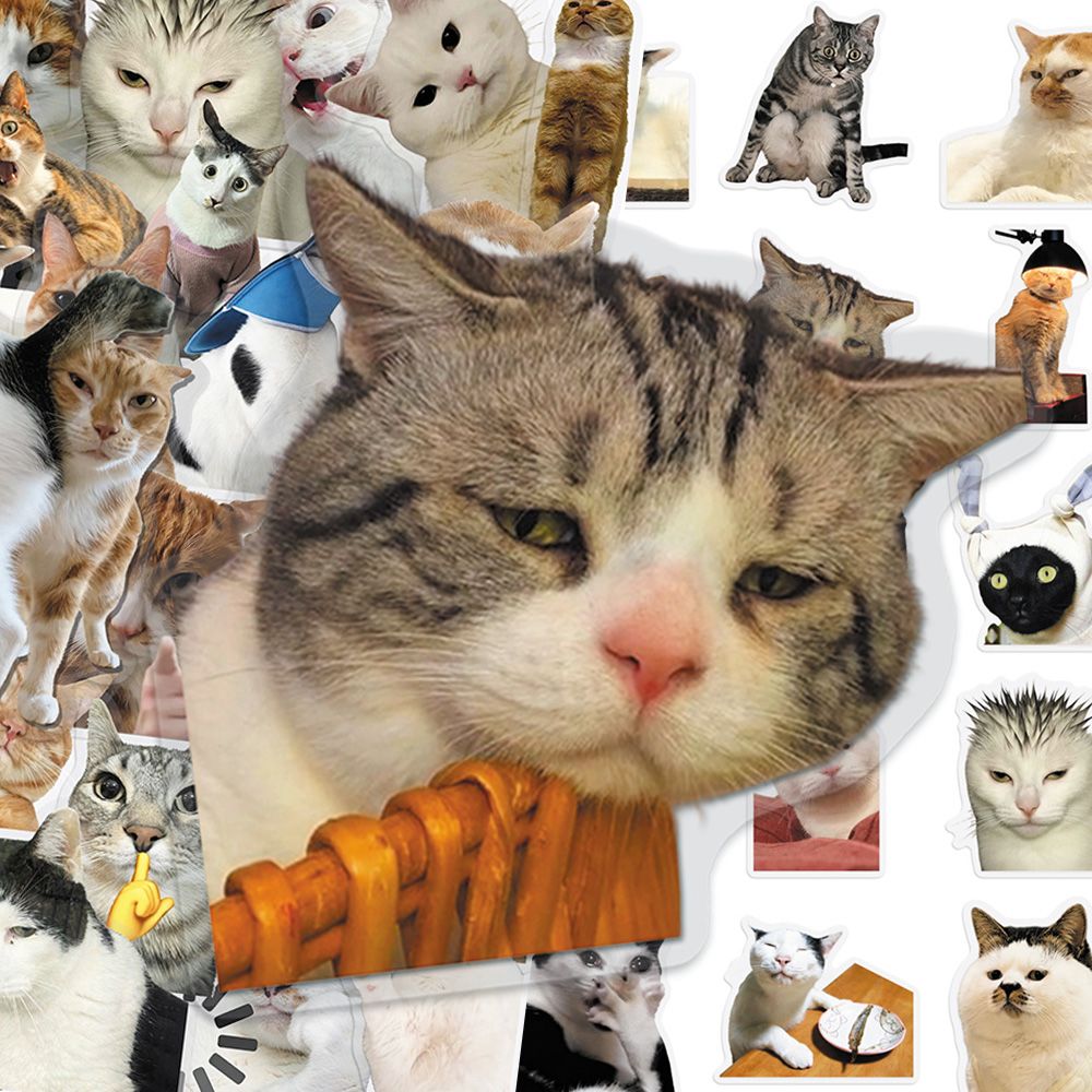 Cat PET stickers
