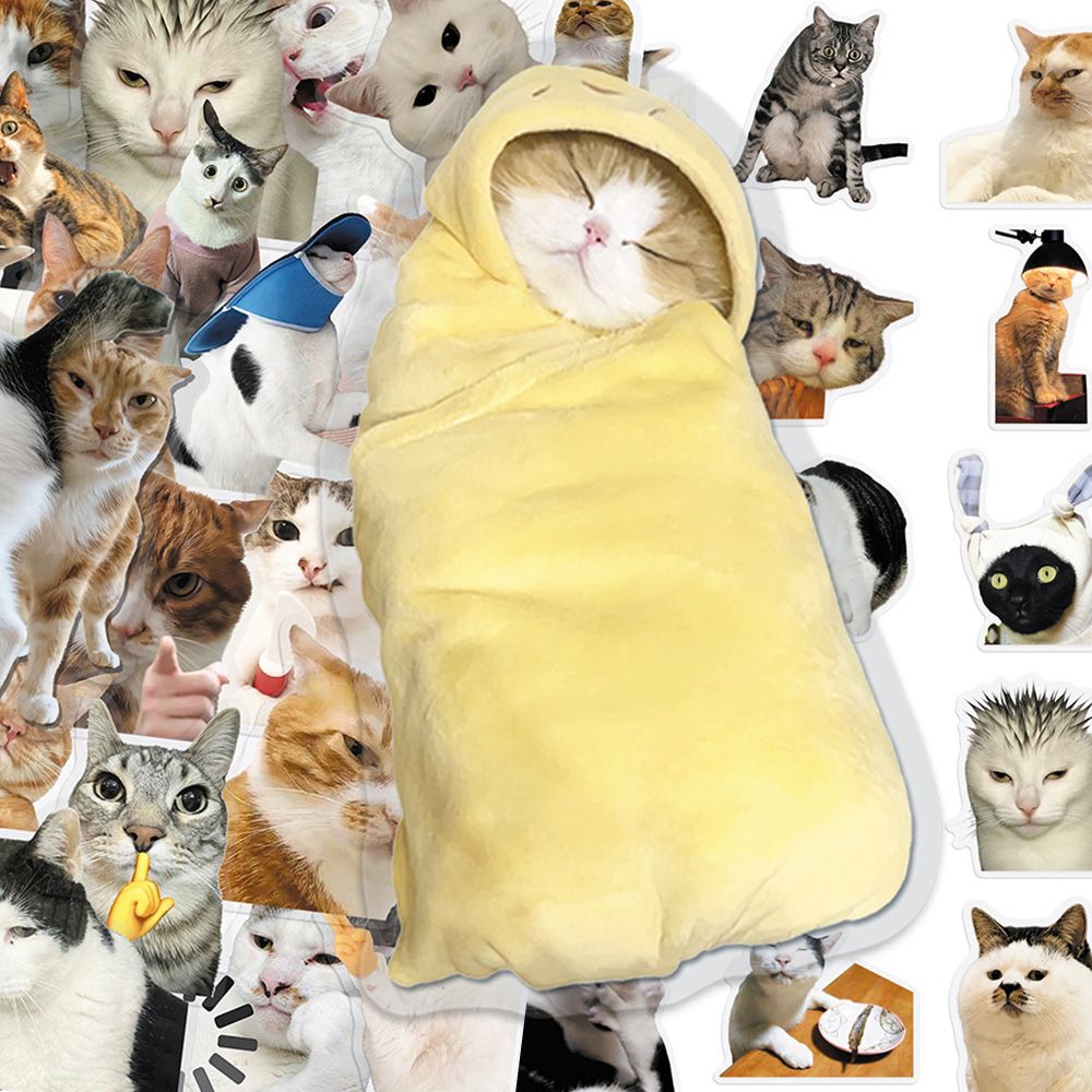 Cat PET stickers