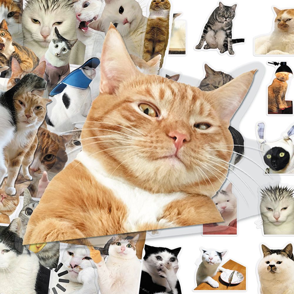 Cat PET stickers