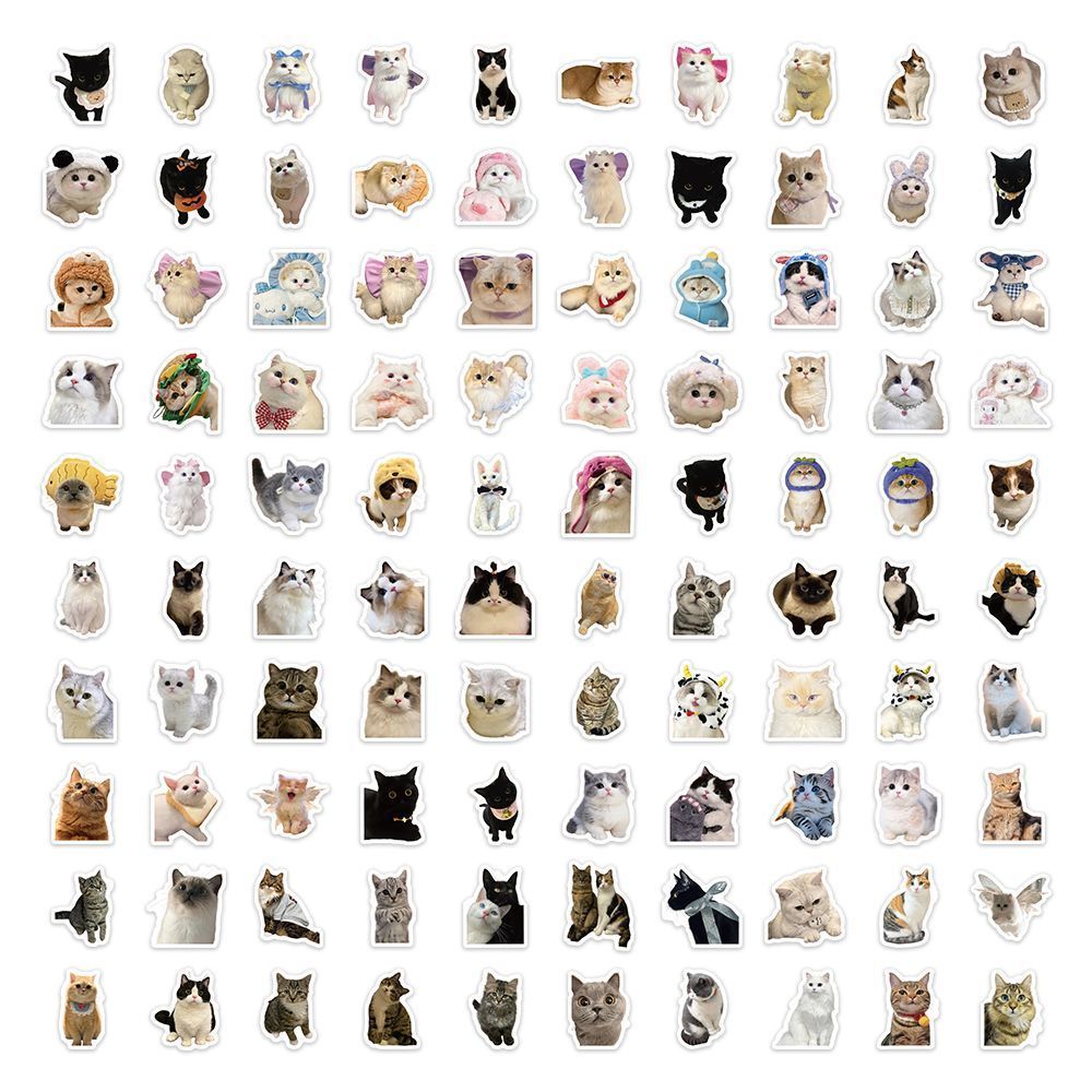 Cute Pet Cat Stickers