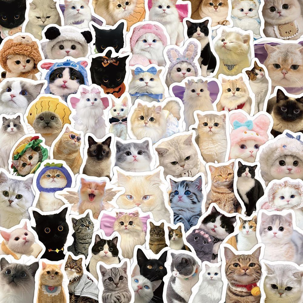 Cute Pet Cat Stickers