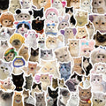 Cute Pet Cat Stickers