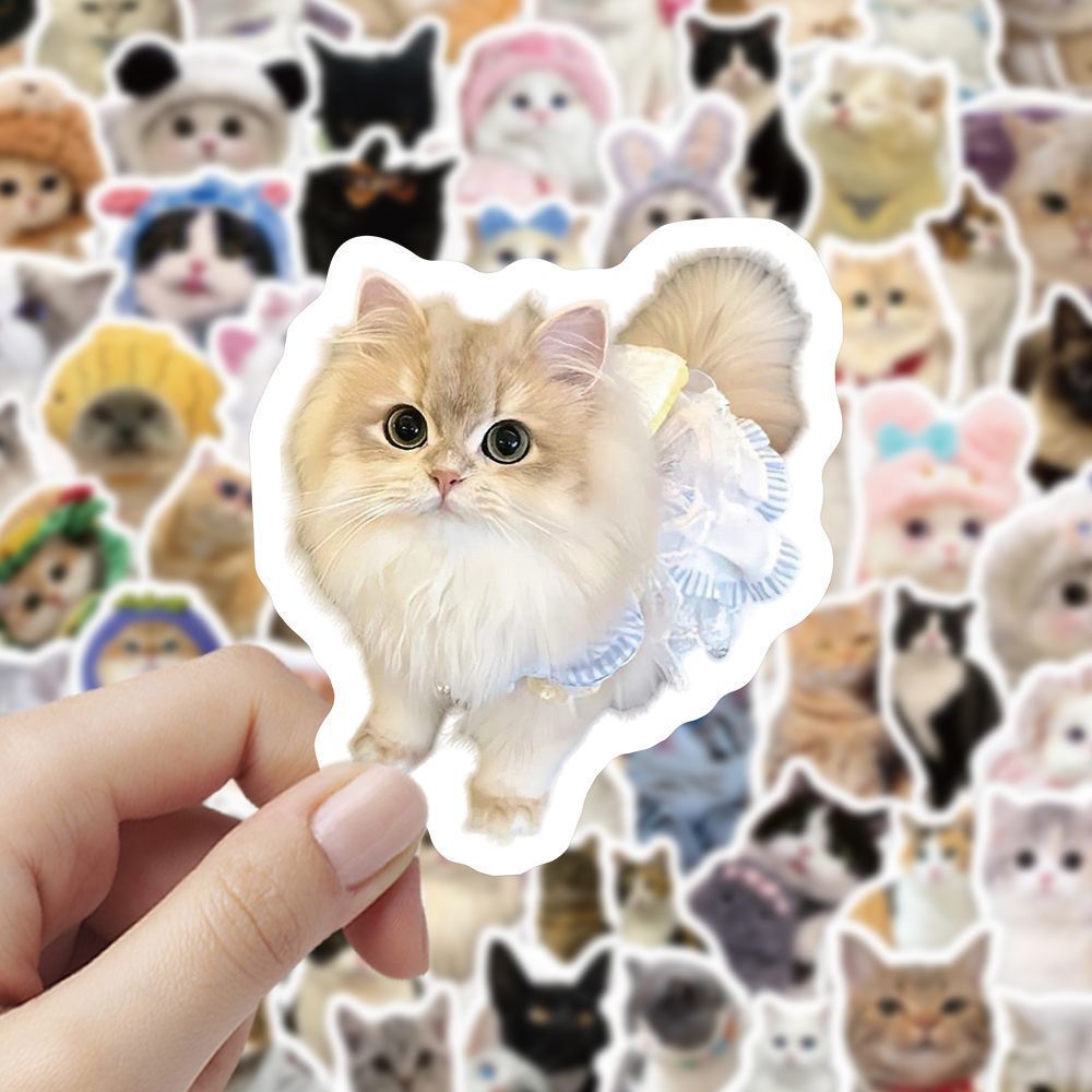 Cute Pet Cat Stickers