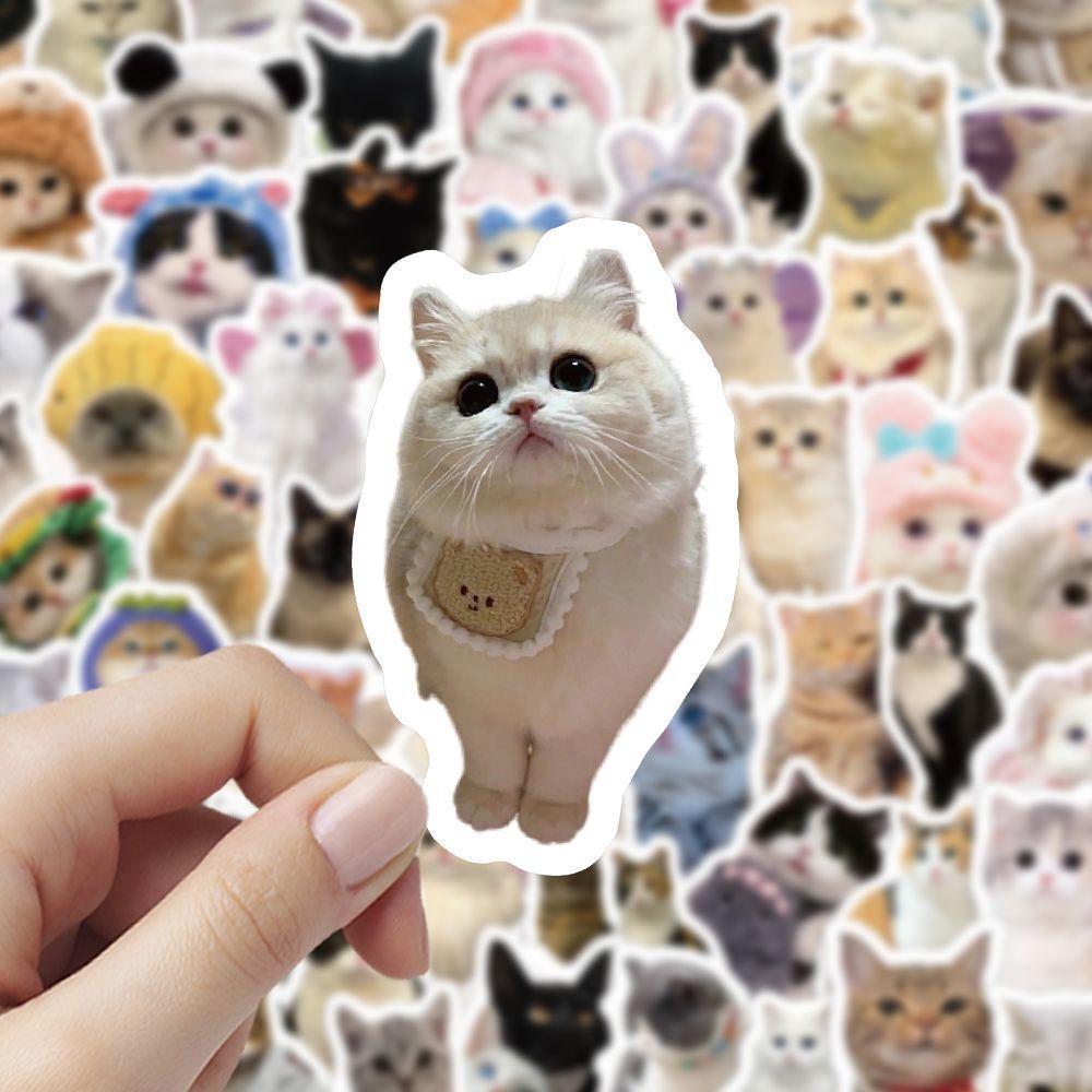 Cute Pet Cat Stickers