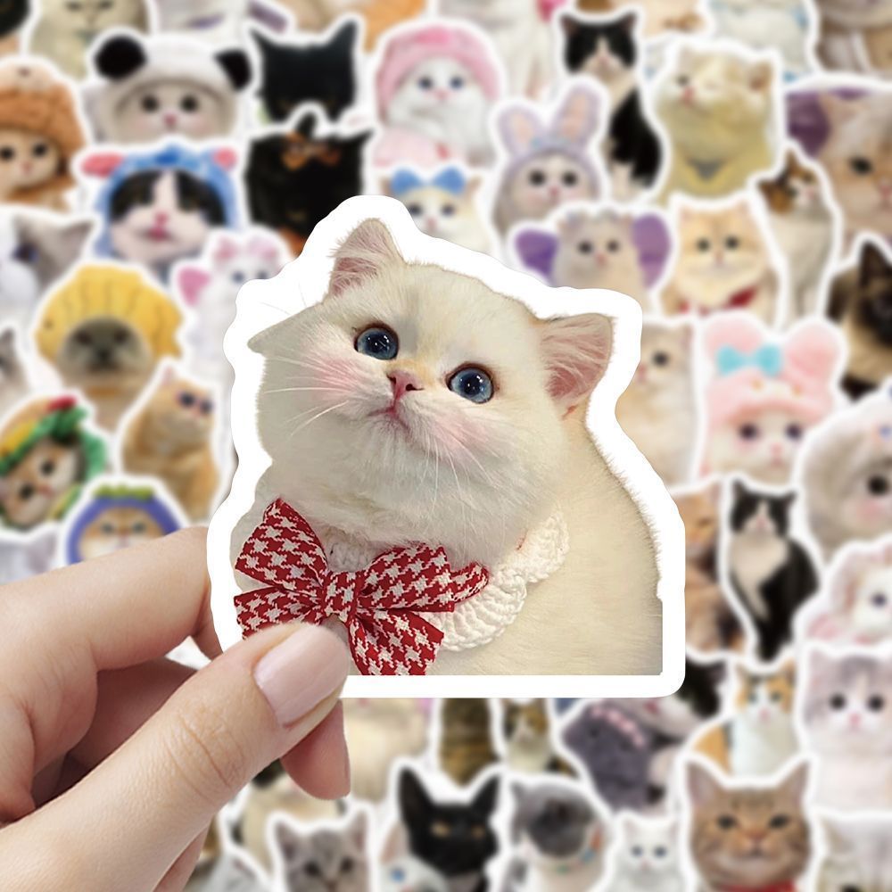 Cute Pet Cat Stickers