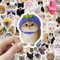 Cute Pet Cat Stickers