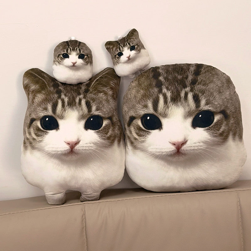 OMG Meowl