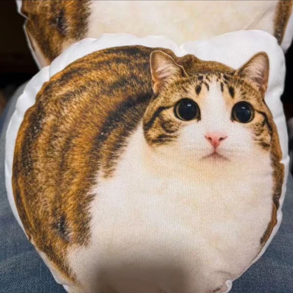 Meowl Series Pillows