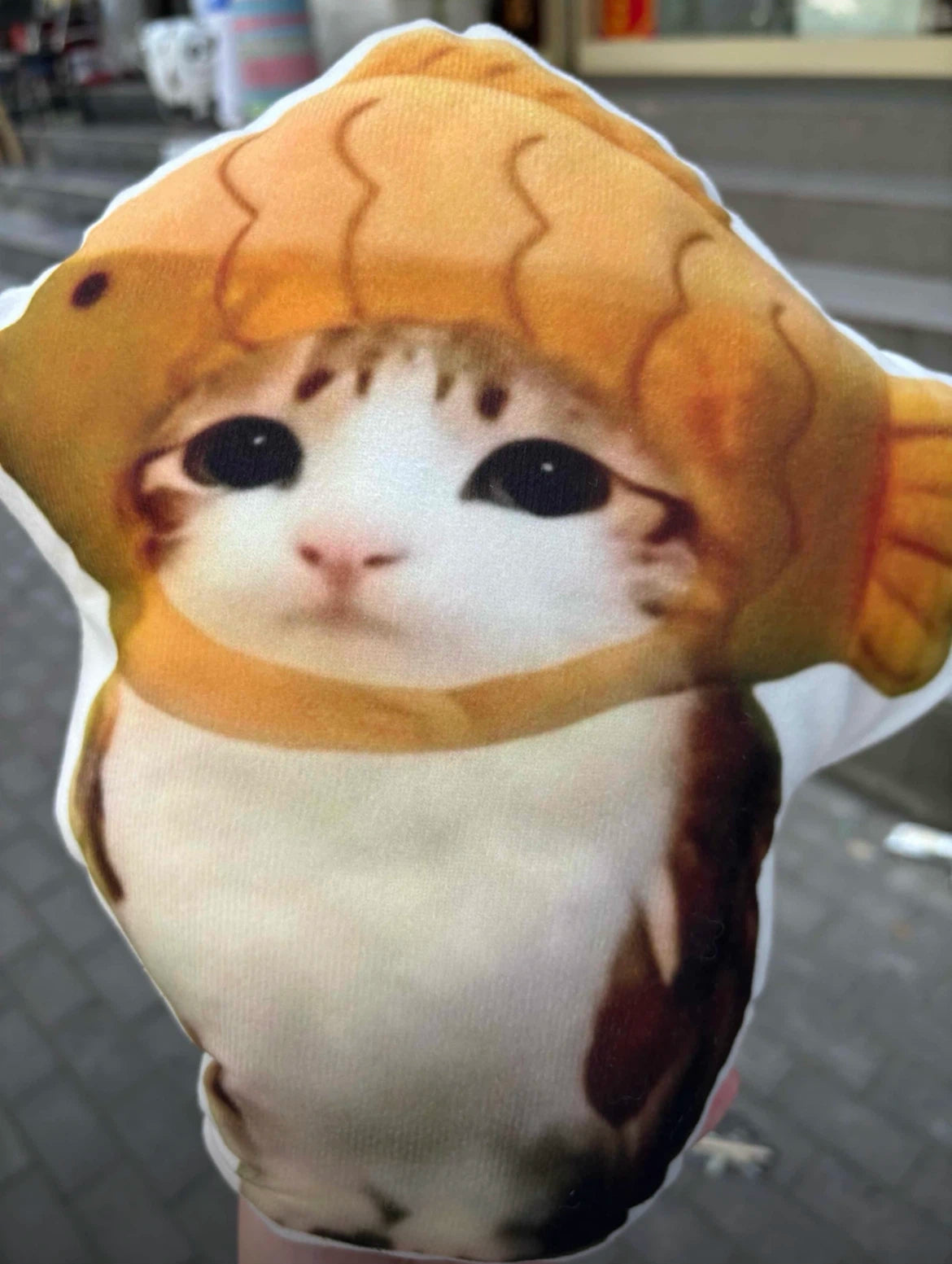 Meowl Series Pillows