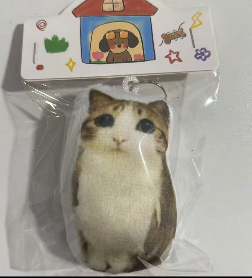 meowl  keychain