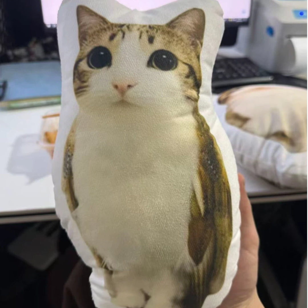Meowl Series Pillows