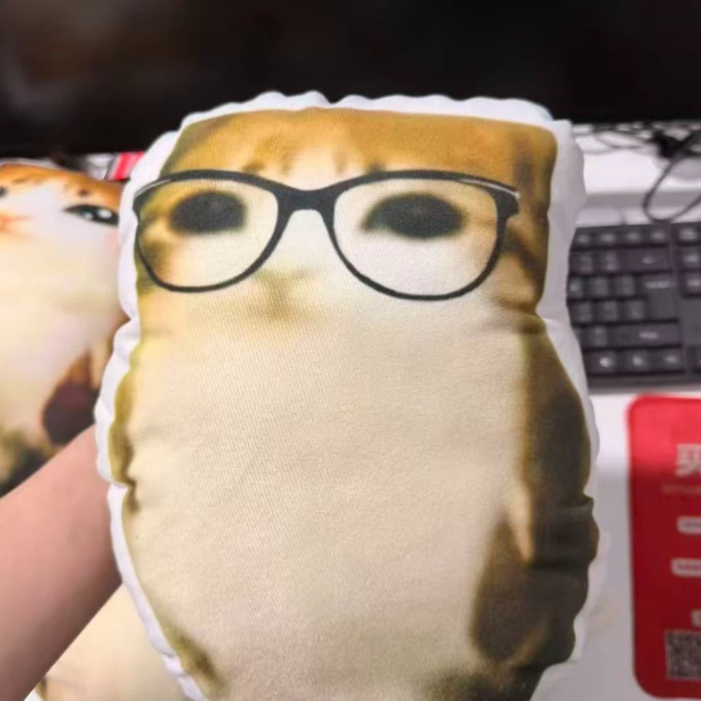Meowl Series Pillows