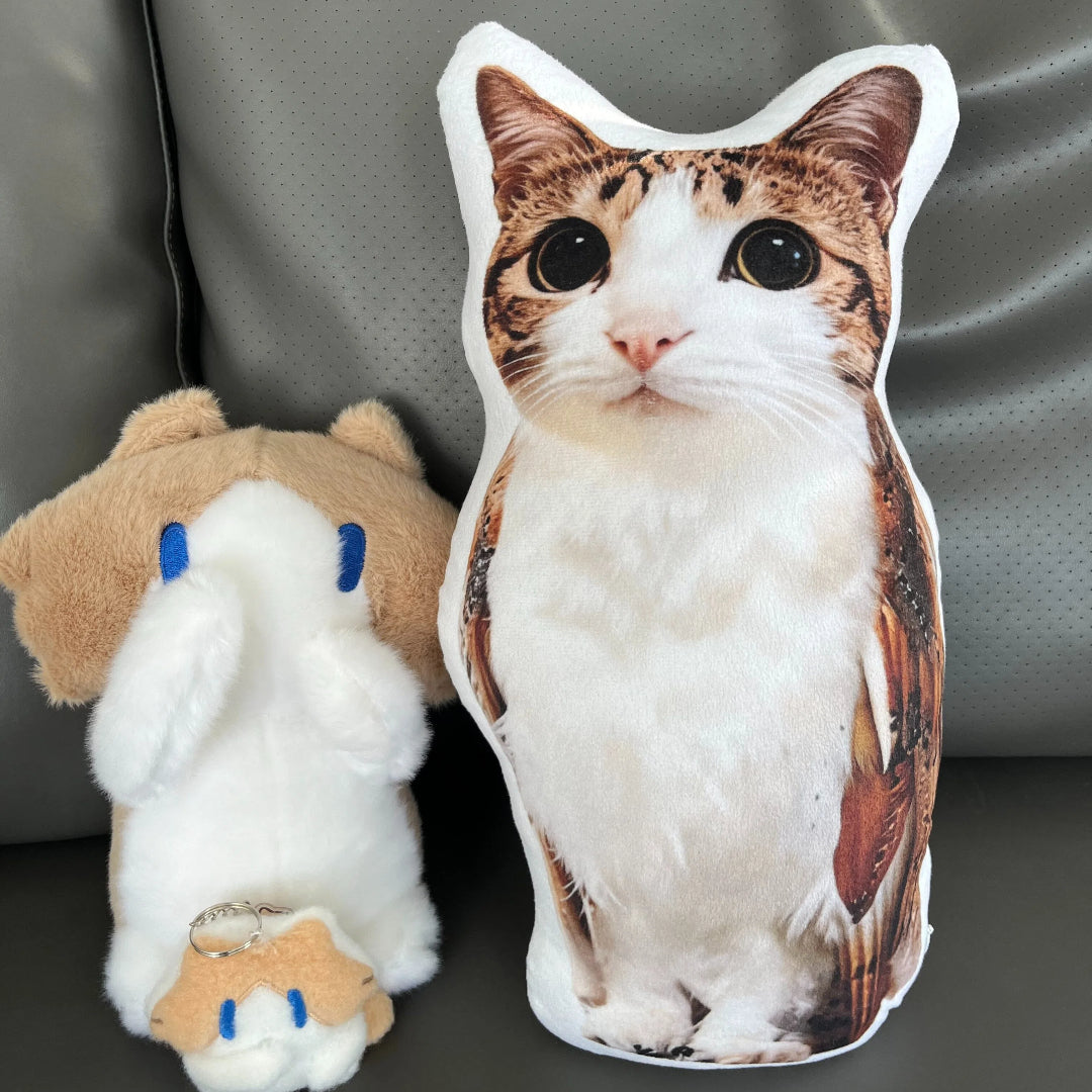 Creative Monthly Salary Cat Plush Toy - Super Cute and Adorable Birthday Gift for Girls, Salary Meow Plush Doll