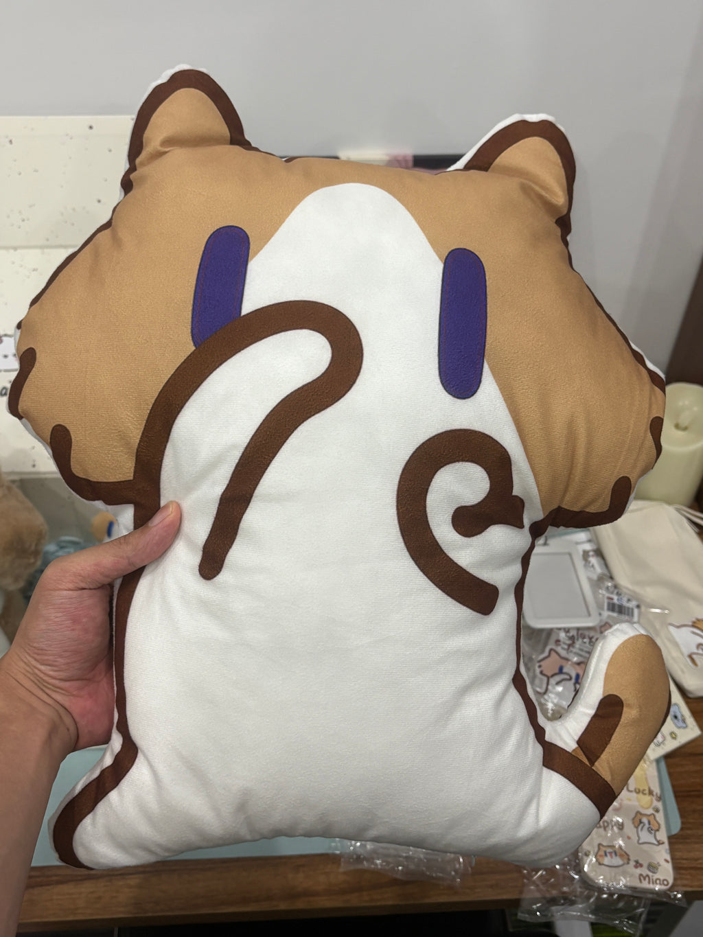 Cute monthly salary cat pillow gift for friends