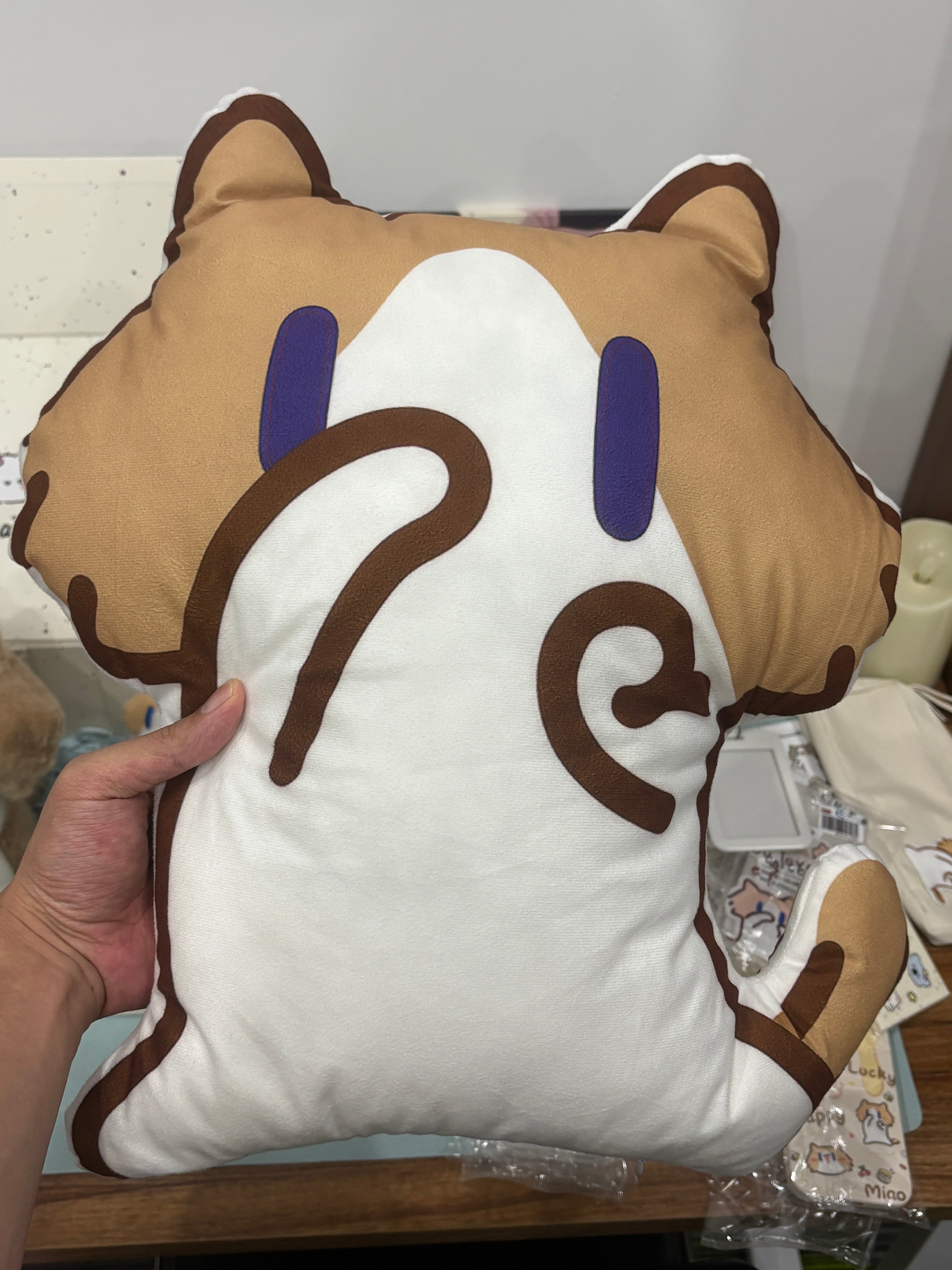 Cute monthly salary cat pillow gift for friends