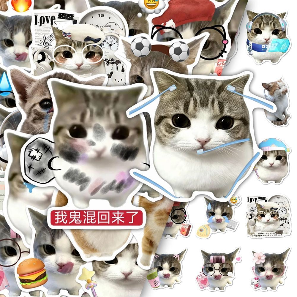 48 Unique Crispy Triangle Cat Meme Stickers