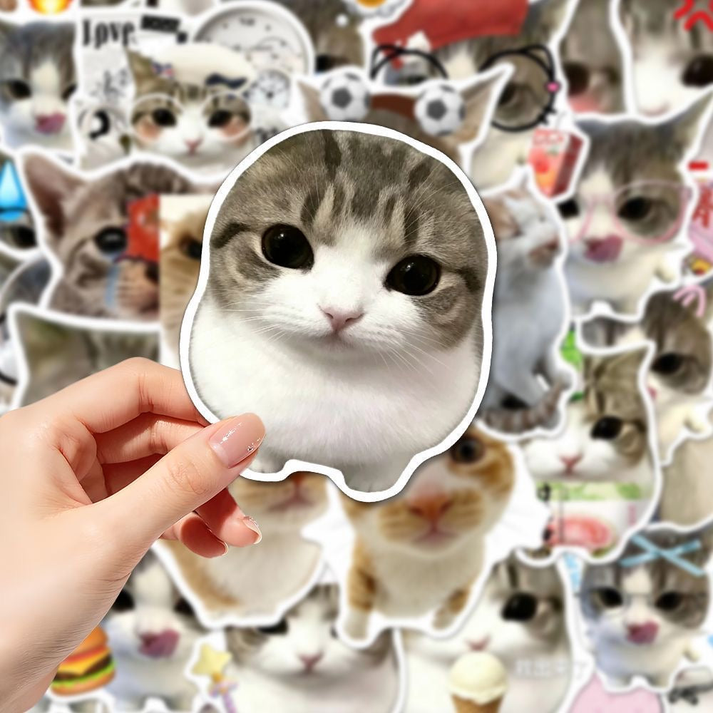 48 Unique Crispy Triangle Cat Meme Stickers