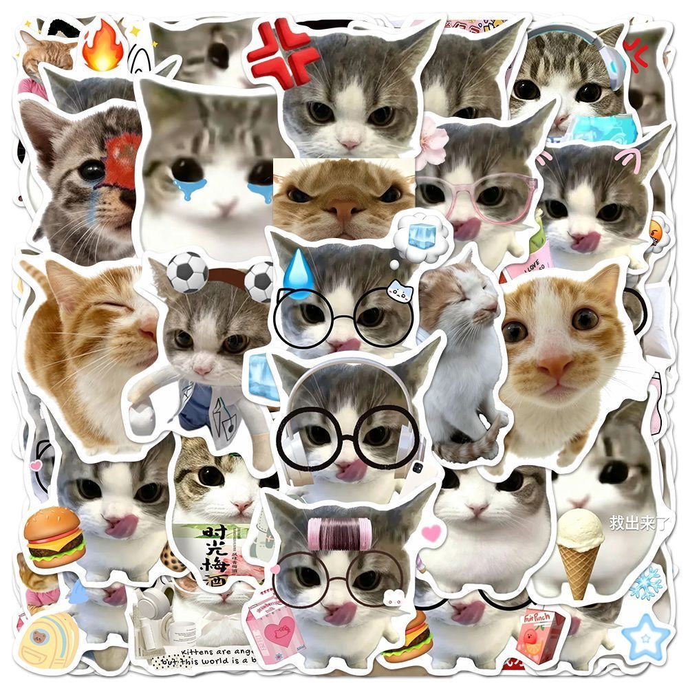 48 Unique Crispy Triangle Cat Meme Stickers